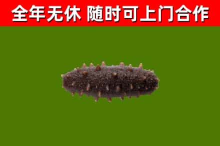 任城区烟酒回收干海参.jpg
